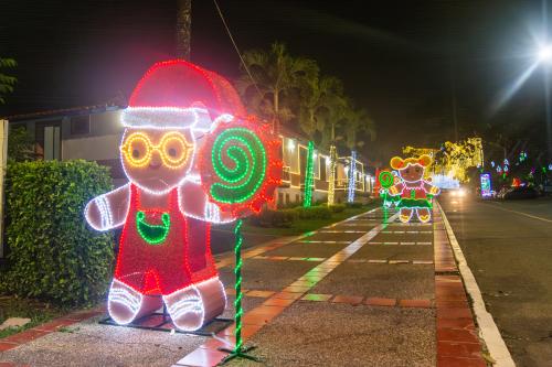 navidad-2025-14