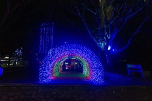 navidad-2025-23