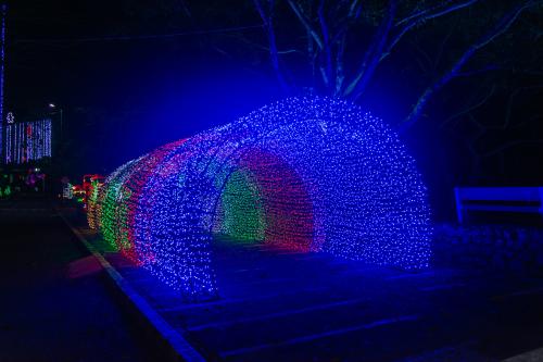 navidad-2025-24