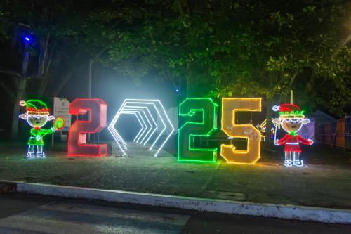 navidad-2025-29