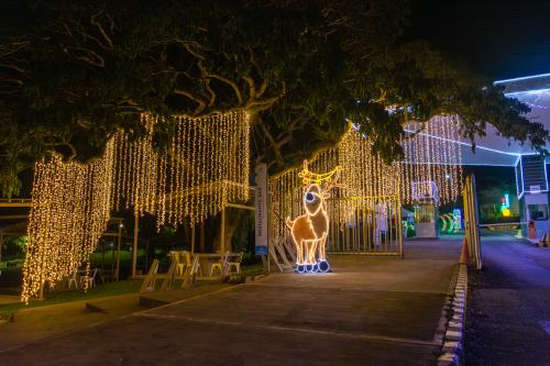 navidad-2025-5