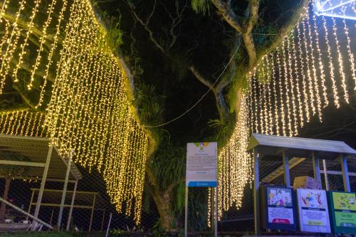 navidad-2025-6